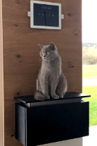 Paula ist 1 Jahr alt und lebt in OÖ