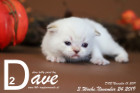 Dave ist 3 Wochen alt ( 10.11.2019 )