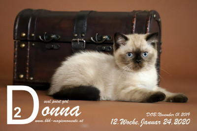 Donna ist 12 Wochen alt ( 24.01.2020 )