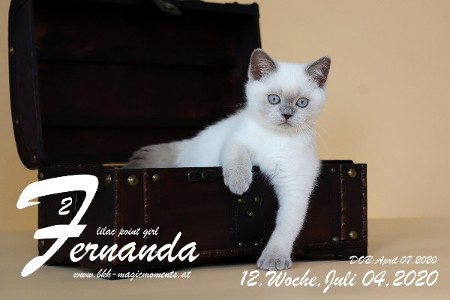 Fernanda ist 12 Wochen alt ( 04.07.2020 )