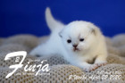 Finja ist 2 Wochen alt ( 22.04.2020 )