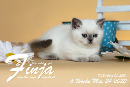 Finja ist 6 Wochen alt ( 24.05.2020 )
