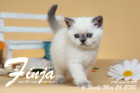 Finja ist 6 Wochen alt ( 24.05.2020 )
