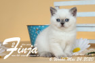 Finja ist 6 Wochen alt ( 24.05.2020 )