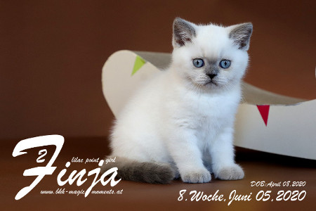 Finja ist 8 Wochen alt ( 05.06.2020 )