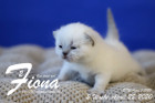 Fiona ist 2 Wochen alt ( 22.04.2020 )