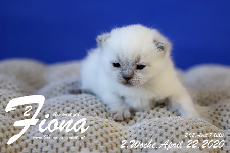 Fiona ist 2 Wochen alt ( 22.04.2020 )