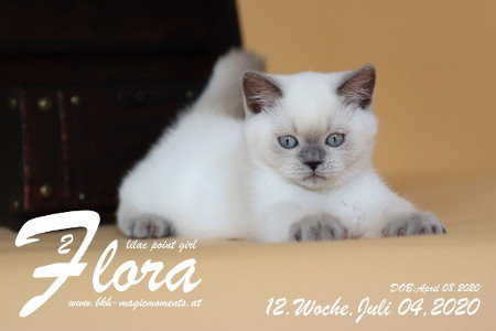 Flora ist 12 Wochen alt ( 04.07.2020 )