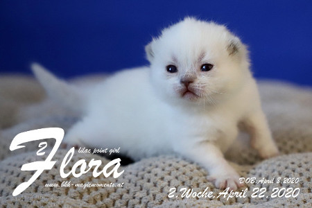 Flora ist 2 Wochen alt ( 22.04.2020 )