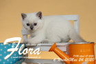 Flora ist 6 Wochen alt ( 24.05.2020 )