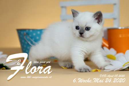 Flora ist 6 Wochen alt ( 24.05.2020 )