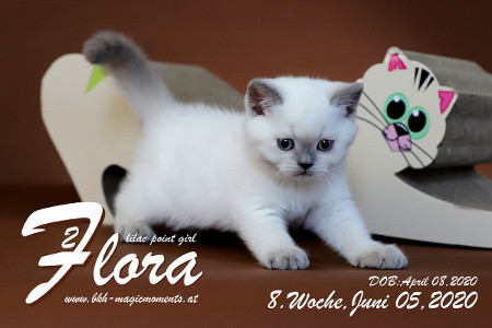 Flora ist 8 Wochen alt ( 05.06.2020 )