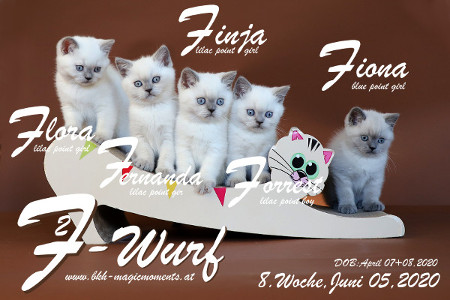 Unser F2-Wurf ist 8 Wochen alt ( 05.06.2020 )