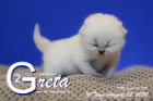 Greta ist 10 Tage alt ( 22.08.2020 )