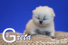 Greta ist 10 Tage alt ( 22.08.2020 )