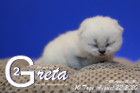 Greta ist 10 Tage alt ( 22.08.2020 )