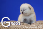 Greta ist 10 Tage alt ( 22.08.2020 )