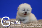 Greta ist 10 Tage alt ( 22.08.2020 )