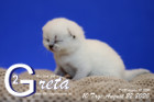 Greta ist 10 Tage alt ( 22.08.2020 )