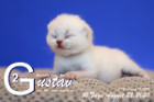 Gustav ist 10 Tage alt ( 22.08.2020 )