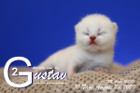Gustav ist 10 Tage alt ( 22.08.2020 )