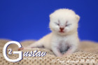 Gustav ist 10 Tage alt ( 22.08.2020 )