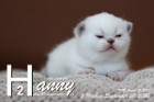Hanny ist 3 Wochen alt ( 20.09.2020 )