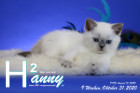 Hanny ist 9 Wochen alt ( 31.10.2020 )