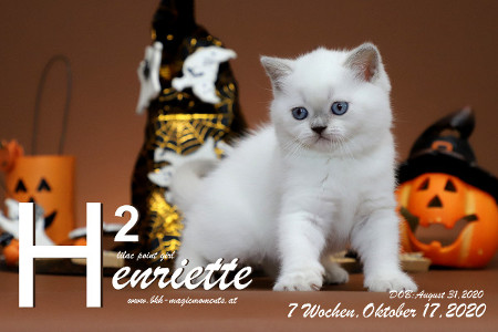 Henriette ist 7 Wochen alt ( 17.10.2020 )