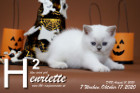 Henriette ist 7 Wochen alt ( 17.10.2020 )