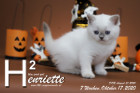 Henriette ist 7 Wochen alt ( 17.10.2020 )