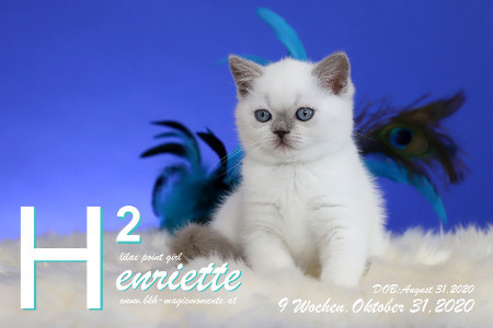 Henriette ist 9 Wochen alt ( 31.10.2020 )