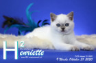 Henriette ist 9 Wochen alt ( 31.10.2020 )