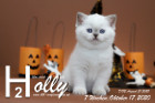 Holly ist 7 Wochen alt ( 17.10.2020 )