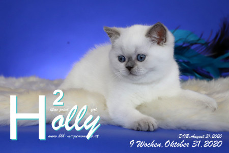 Holly ist 9 Wochen alt ( 31.10.2020 )