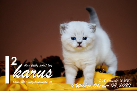Ikarus ist 4 Wochen alt ( 03.10.2020 )