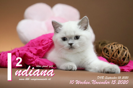 Indiana ist 10 Wochen alt ( 15.11.2020 )