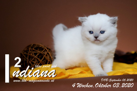 Indiana ist 4 Wochen alt ( 03.10.2020 )