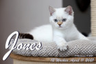 Jones ist 12 Wochen alt ( 11.04.2021 )
