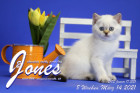 Jones ist 8 Wochen alt ( 14.03.2021 )