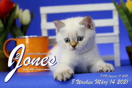 Jones ist 8 Wochen alt ( 14.03.2021 )
