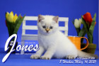 Jones ist 8 Wochen alt ( 14.03.2021 )