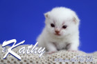 Kathy ist 2 Wochen alt ( 22.05.2021 )