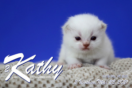 Kathy ist 2 Wochen alt ( 22.05.2021 )