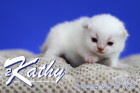 Kathy ist 2 Wochen alt ( 22.05.2021 )
