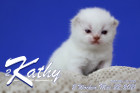 Kathy ist 2 Wochen alt ( 22.05.2021 )