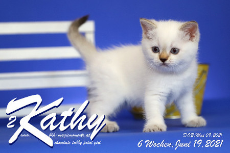 Kathy ist 6 Wochen alt ( 19.06.2021 )