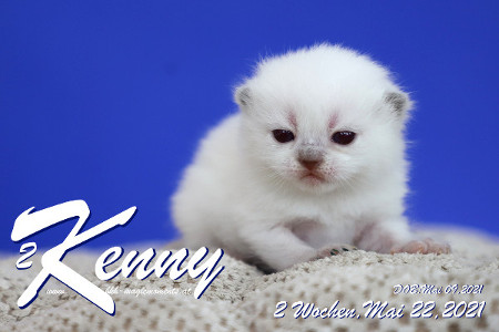 Kenny ist 2 Wochen alt ( 22.05.2021 )