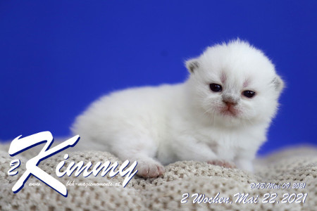 Kimmy ist 2 Wochen alt ( 22.05.2021 )