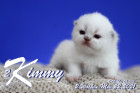 Kimmy ist 2 Wochen alt ( 22.05.2021 )